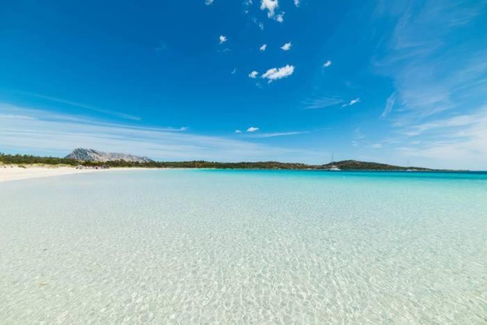 Marina Of Olbia Apartment エクステリア 写真